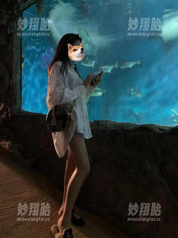 微密圈 - 当林子琳喵化身全套女仆，瞬间升级为心动指数爆表！