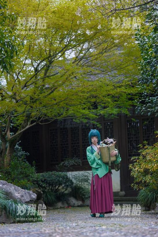 矢量鱼 柴郡魔术师x矢量鱼:一场关于高清写真与幻想的狂欢!